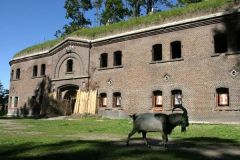 Fort I -Wschodni Fort Artyleryjski